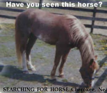 SEARCHING FOR HORSE Cherokee, Near Carlisle Springs, PA, 00000